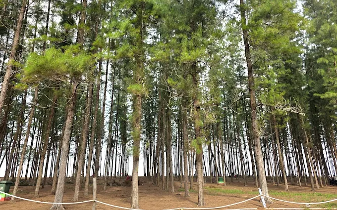 Pantai Melawi, Bachok – Pantai Tenang dengan Jiwa Tradisional Kelantan